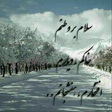 Telegram profile photo for بروبچ هفشجانی