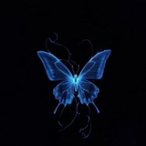 Telegram profile photo for 𝒅𝒂𝒔𝒉𝒕𝒆 𝒑𝒂𝒓𝒗𝒂𝒏𝒆 𝒉𝒂✨🦋