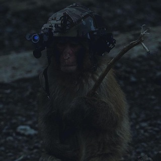Telegram group profile photo for бесплатная випка Chat