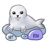 Telegram profile photo for NITFORYOU - образование и технологии
