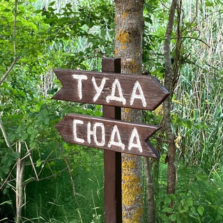 Telegram profile photo for Андрюшины записки