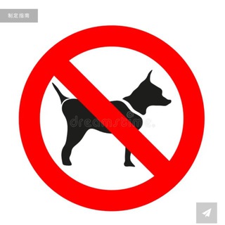 Telegram profile photo for 灰产曝光频道