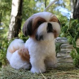 Telegram profile photo for Collection