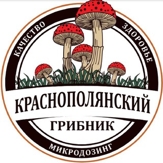 Telegram group profile photo for 🍄❤️МУХОМОРЫ🍀🍄ЕЖОВИК🍄МИКРОДОЗИНГ🍄КРАСНОПОЛЯНСКИЙ ГРИБНИК🍄