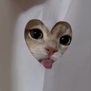 Telegram profile photo for Мемовница