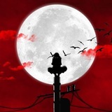 Telegram profile photo for سرگردان