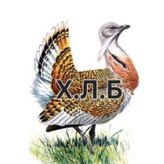 Telegram profile photo for Зрадники - Горностаївка, Верхній Рогачик, Нижні Сірогози, Іванівка, Каланчак, В.Лепетиха,Новотроїцьке, (Херсонщина Лівий Берег).