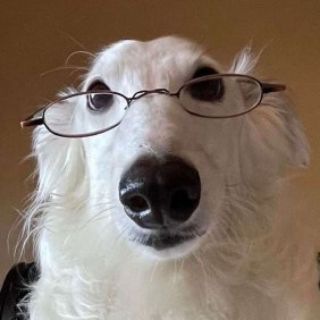 Telegram profile photo for Резиденция Dr. AntiSWAG #премиумсвага