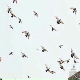 Telegram profile photo for الىَ موطِن يُدعى الجنَّه.