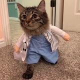 Telegram profile photo for يوميات بيطري تحت الانشاء