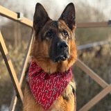 Telegram profile photo for Кадры Юверы 🐕