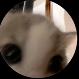 Telegram profile photo for люблю