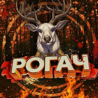 Telegram profile photo for РОГАЧ +18