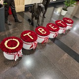 Telegram profile photo for Ходячий Рекламщик