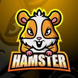 Telegram profile photo for DropZone
