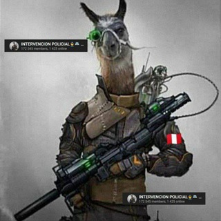 Telegram profile photo for INTERVENCIÓN POLICIAL 👮🚔 MILITAR Y SUCESOS EN PERU