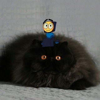 Telegram profile photo for почеркушки картофелч (брялка)