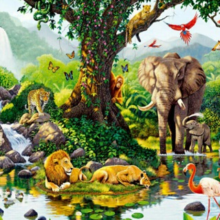 Telegram profile photo for 🔗➰wild animals