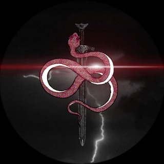 Telegram profile photo for MIVERSE cdt
