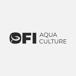 Telegram profile photo for OFI