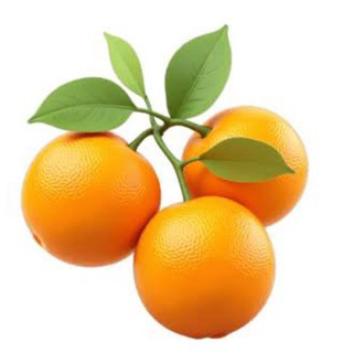 Telegram profile photo for Пригодится! 🍊 Исследования 2026