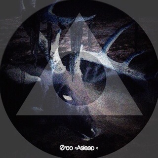 Telegram profile photo for Мертвые Животные (Dead Animals)