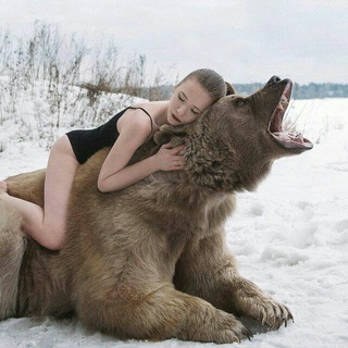 Telegram profile photo for Meanwhile in Russia