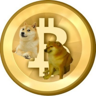 Telegram group profile photo for Skydoge