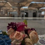 Telegram profile photo for آيَةُ اللّٰهِ