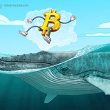 Telegram profile photo for Crypto Signals