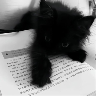 Telegram profile photo for Лексунчик