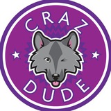 Telegram profile photo for Crazdude progress & announcement channel