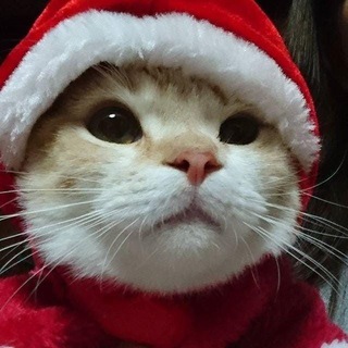 Telegram profile photo for Значущий щітпостінг