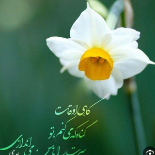 Telegram profile photo for ❣ آمادگی برای ظهور❣