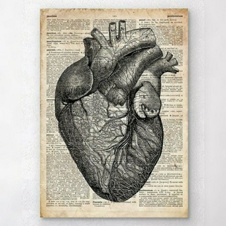 Telegram profile photo for Medical knowledge