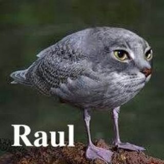 Telegram profile photo for макелав
