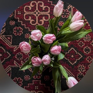 Telegram profile photo for ﴿ فَإِنِّي قَرِيبٌ ﴾
