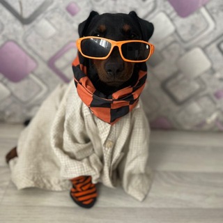 Telegram profile photo for Гектор-JDH #Hector