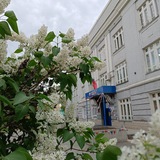 Telegram profile photo for Гимназия 16