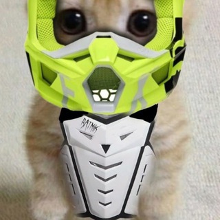 Telegram profile photo for Enduro master 🚀🫀