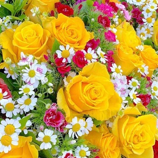 Telegram profile photo for دروس صوتية