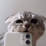 Telegram profile photo for Юморок и Новости для Души✨