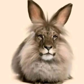 Telegram profile photo for 6L@j£NN@Я