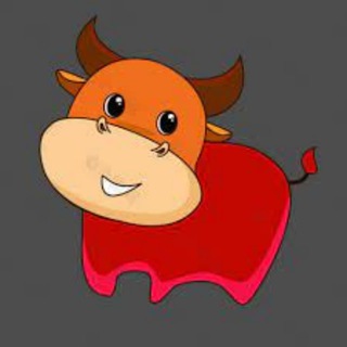 Telegram group profile photo for 节奏每日金狗