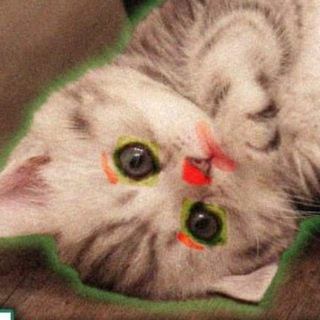 Telegram profile photo for мемозаготовки