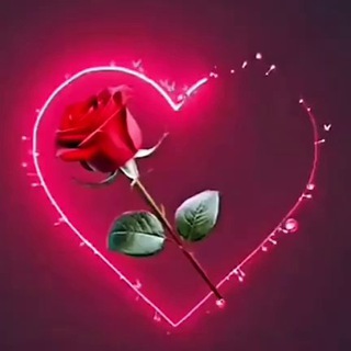 Telegram profile photo for Красивые видео 🌹❤️| сердечки | розы | цветы |💘| любовь | картинки 💋