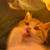 Telegram profile photo for Булочная Ксюши Пахомовой
