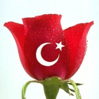 Telegram group profile photo for Турция. Алания. Недвижимость, жизнь и работа.🇹🇷