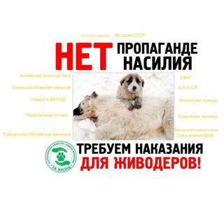 Telegram profile photo for А. Ж. К. ( интернет безопасность) (ЕССФ)