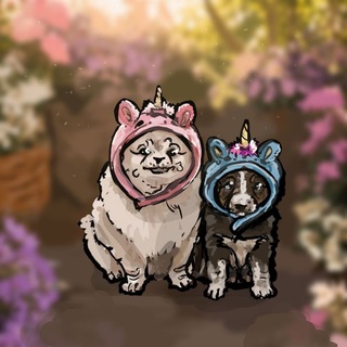 Telegram profile photo for 🐾Шпиц и хаска на краю земли🗻